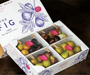 THE FIG ～皮ごと食べれるいちじく～