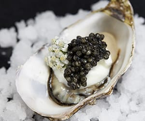 スペイン産フレッシュオーガニックキャビア ナカリ