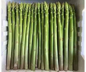 グリーンアスパラ