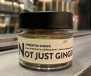 NOT JUST GINGER 発酵生姜