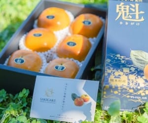 プレミアム太秋柿　魁（さきがけ）A・B品