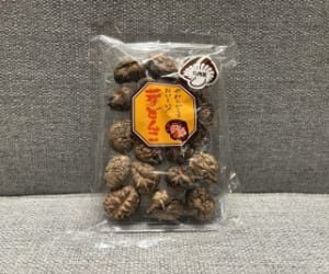 九州産乾椎茸　芽どんこ40g