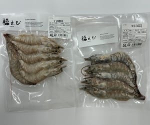 幸えび、福えびセット