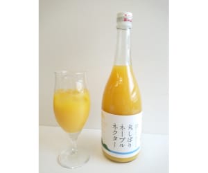 丸絞りネーブルネクター